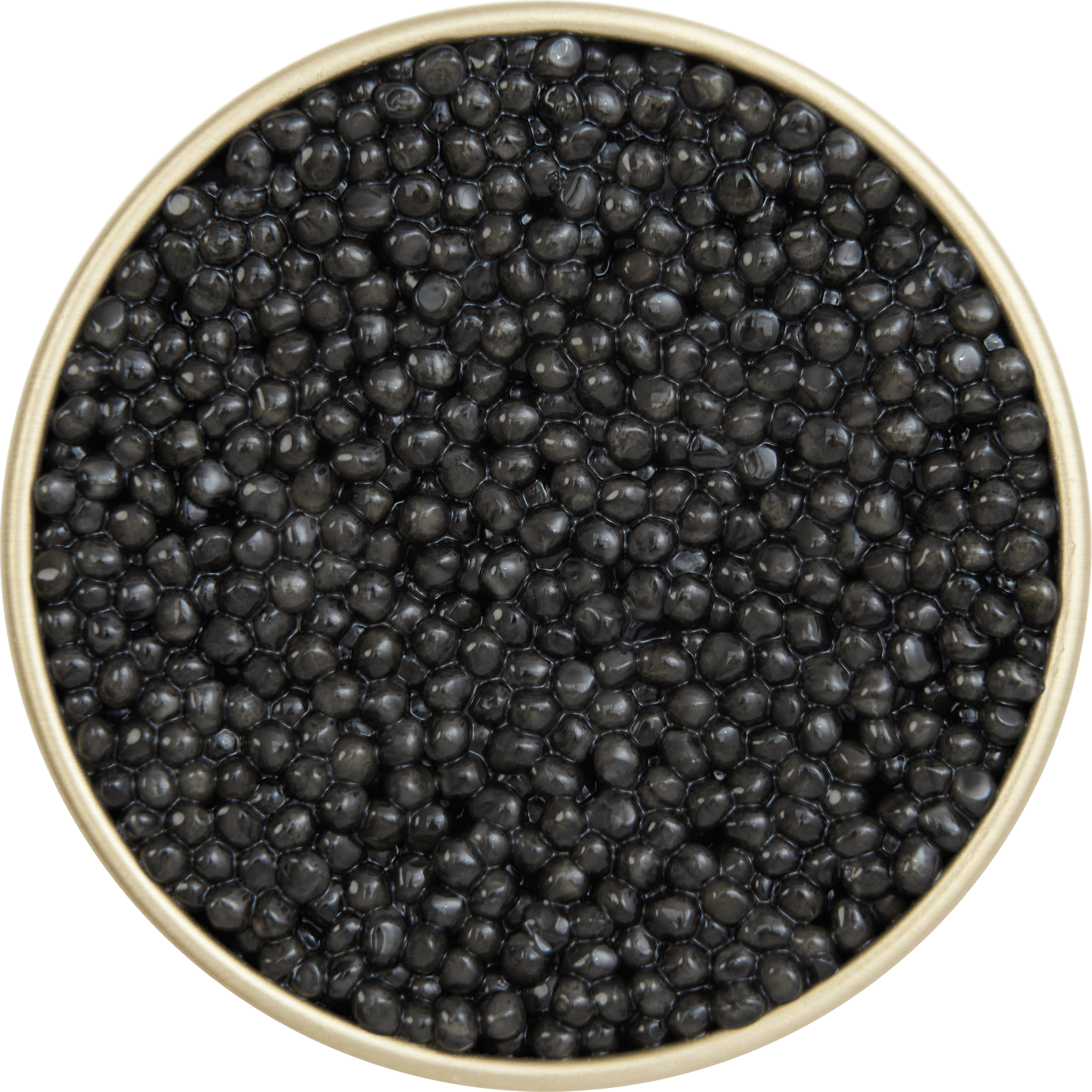 Baeri White - Caviar Maturé